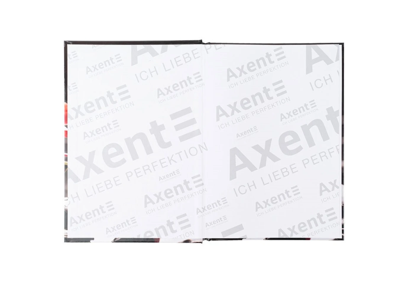 Книга записная Axent А4 "R&B Flower", 96 листов, клетка 8457-7-A