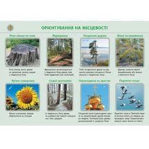 Комплект плакатів Ranok А1 "Географія. 6 клас" наочність нового покоління Г100064У — фото 2