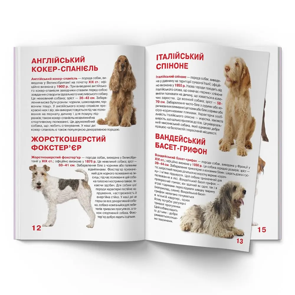 Энциклопедия "Большая книга для любознательных. Охотничьи собаки" Crystal Book — фото 2