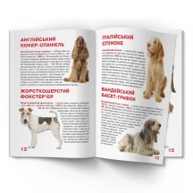 Энциклопедия "Большая книга для любознательных. Охотничьи собаки" Crystal Book — фото 2