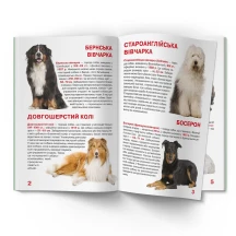 Енциклопедія "Велика книжка для допитливих. Службові собаки" Crystal Book — фото 2