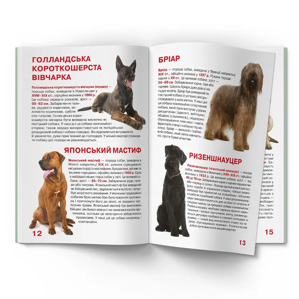 Енциклопедія "Велика книжка для допитливих. Службові собаки" Crystal Book — фото 3