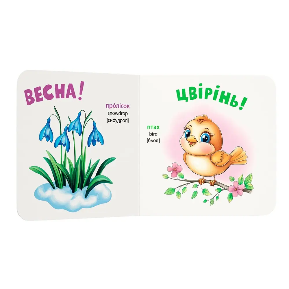 Книга - картонка "Розглядайка-розвивайка. Пори року" Crystal Book — фото 3