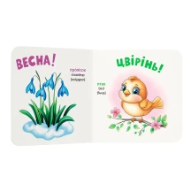 Книга - картонка "Розглядайка-розвивайка. Пори року" Crystal Book — фото 3
