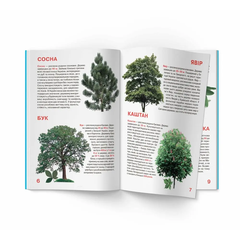 Энциклопедия "Большая книга для любознательных. Растительный мир Украины" Crystal Book Энциклопедия "Большая книга для любознательных. Растительный мир Украины" Crystal Book — фото 2
