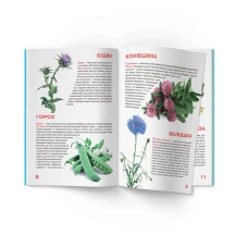 Енциклопедія "Велика книжка для допитливих. Рослинний світ України" Crystal Book — фото 3