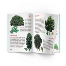 Енциклопедія "Велика книжка для допитливих. Рослинний світ України" Crystal Book — фото 4