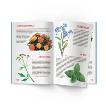 Енциклопедія "Велика книжка для допитливих. Рослинний світ України" Crystal Book — фото 5
