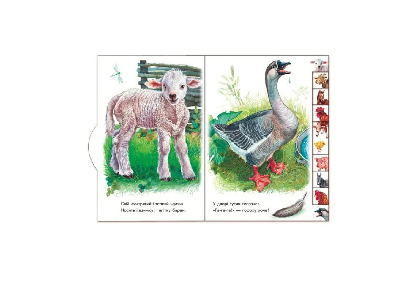Книга - картонка "Малышам по зверюшек. Во дворе" Ranok 2+ М322018У
