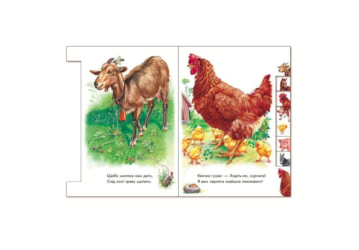 Книга - картонка "Малышам по зверюшек. Во дворе" Ranok 2+ М322018У
