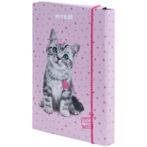 Папка для тетрадей Kite В5 на резинке, картон SP SP25-210