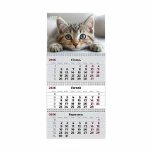 Календар 2026 рік настінний квартальний Axent "Cats 1", 3 пружини 8803-26-13-A