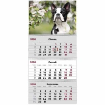 Календар 2026 рік настінний квартальний Axent "Dogs 2", 3 пружини 8803-26-17-A