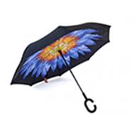 parasoli