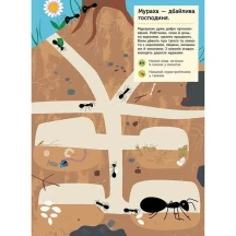 Моя книга природи "Комахи у саду" Ranok 3+ С849005У — фото 4