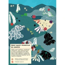 Моя книга природи "На березі моря" Ranok 3+ С849006У — фото 2