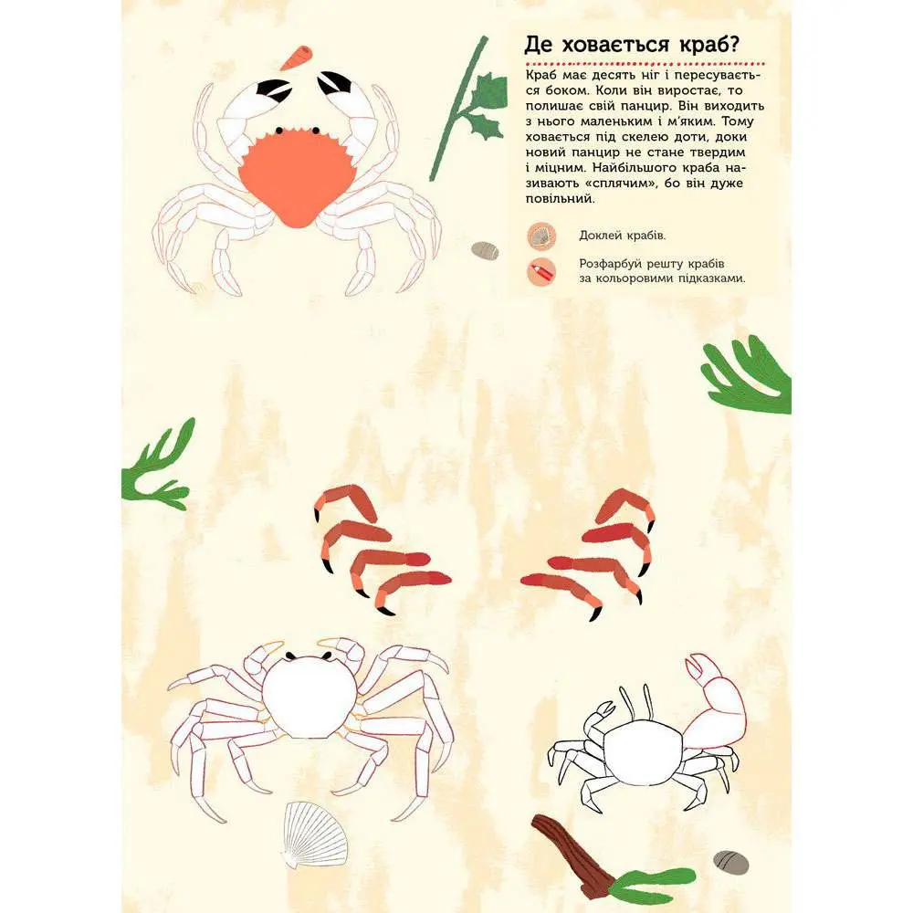 Моя книга природи "На березі моря" Ranok 3+ С849006У — фото 3