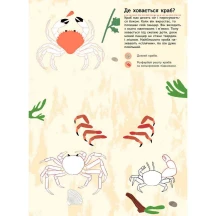 Моя книга природи "На березі моря" Ranok 3+ С849006У — фото 3