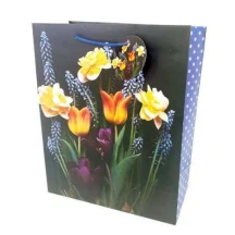 Пакет бумажный Art Studio с ручками 26 х 32 х 12 см GB-24151
