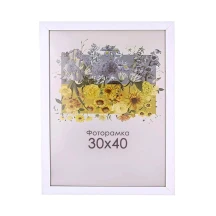 156446