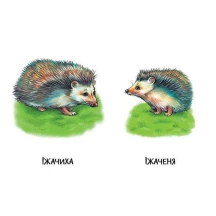 Книга - картонка серії "Малятам про звіряток. 22 картинки", асорті Ranok 1+ А216001-8У — фото 10