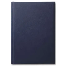 Щоденник датований 2027 Brisk Office А5 176 аркушів, лінія, синій Infolk ЗВ-55