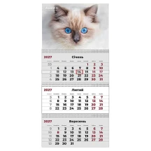 Календар на 2027 рік настінний квартальний "Cats 2",  Axent 8803-27-8-A