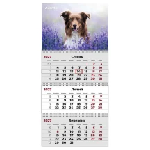 Календар на 2027 рік настінний квартальний "Dogs 1",  Axent 8803-27-10-A